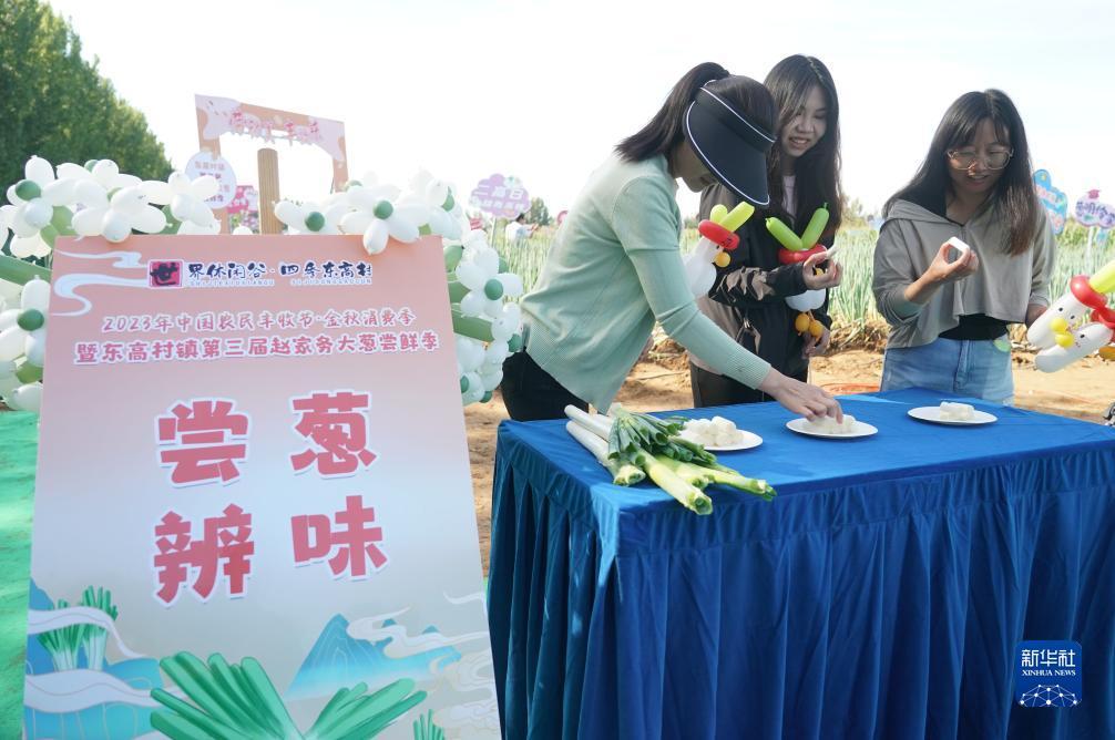 白菜送彩金100可提款